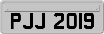 PJJ2019