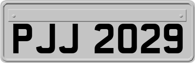 PJJ2029