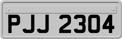 PJJ2304
