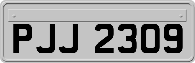 PJJ2309