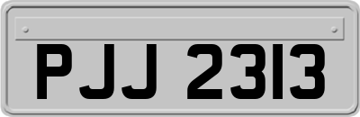 PJJ2313