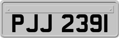 PJJ2391
