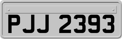 PJJ2393