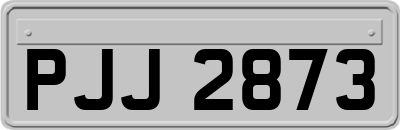 PJJ2873