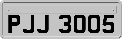 PJJ3005