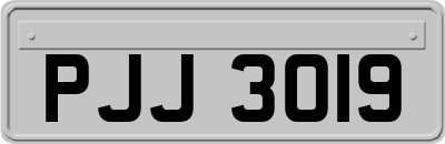 PJJ3019