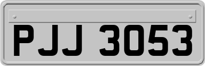 PJJ3053