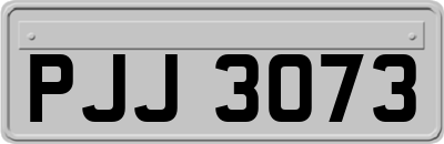 PJJ3073