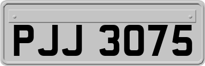 PJJ3075