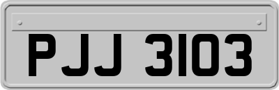 PJJ3103