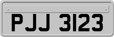 PJJ3123