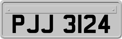 PJJ3124