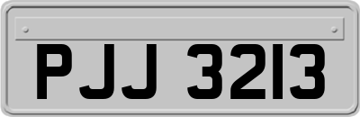 PJJ3213
