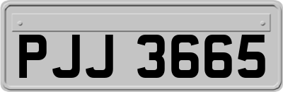 PJJ3665