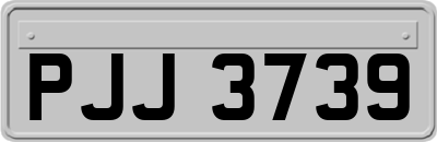 PJJ3739
