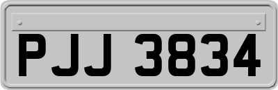 PJJ3834
