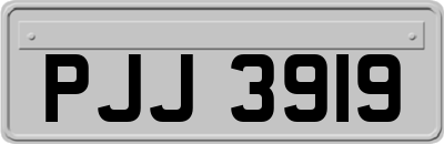 PJJ3919