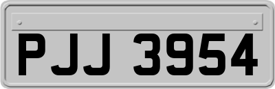PJJ3954