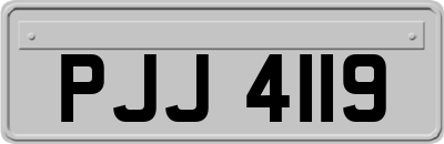 PJJ4119