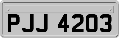 PJJ4203