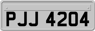 PJJ4204