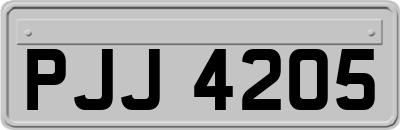 PJJ4205