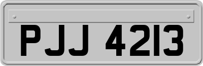 PJJ4213