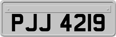 PJJ4219