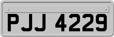 PJJ4229
