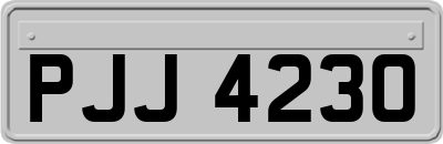 PJJ4230