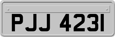 PJJ4231