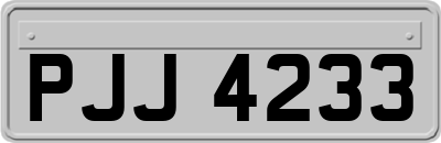 PJJ4233