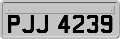 PJJ4239
