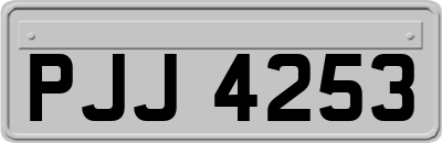 PJJ4253
