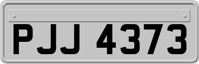PJJ4373