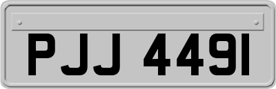PJJ4491
