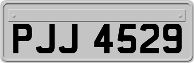PJJ4529