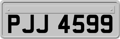 PJJ4599
