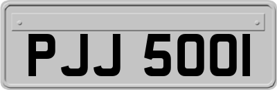 PJJ5001