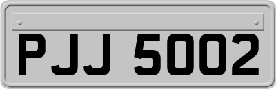 PJJ5002
