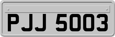 PJJ5003