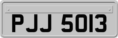 PJJ5013