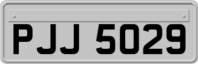 PJJ5029