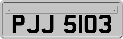 PJJ5103