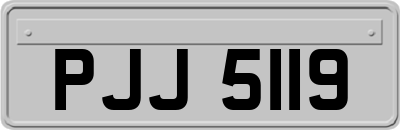 PJJ5119