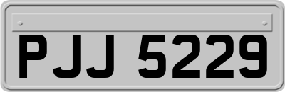 PJJ5229