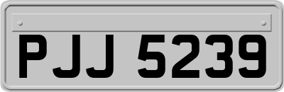 PJJ5239