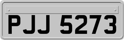 PJJ5273