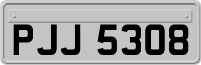 PJJ5308