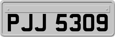 PJJ5309
